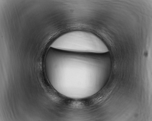 X0000101150547200806270802