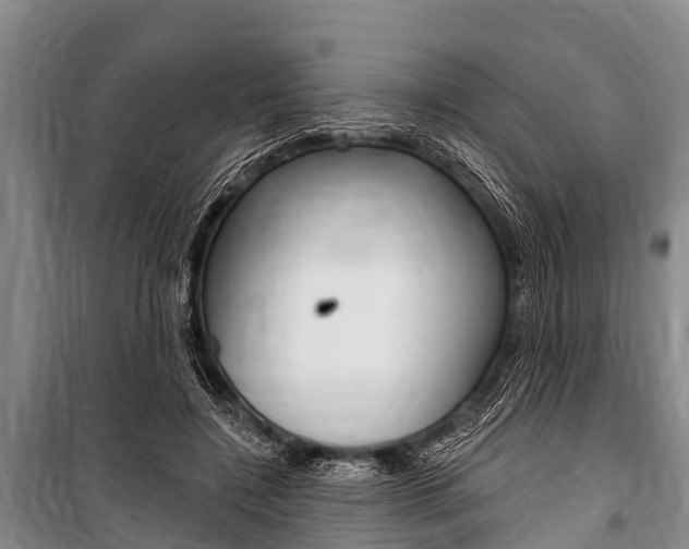 X0000101150548200806270802