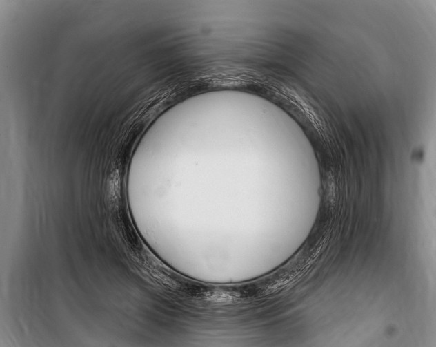 X0000101150549200806270802