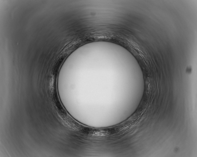 X0000101150550200806270802