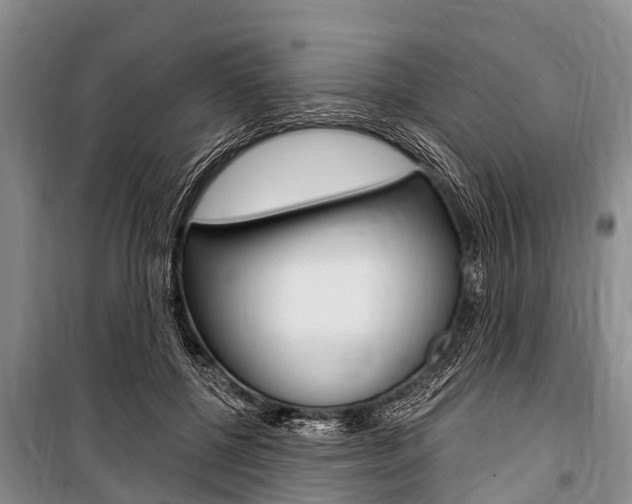X0000101150552200806270802