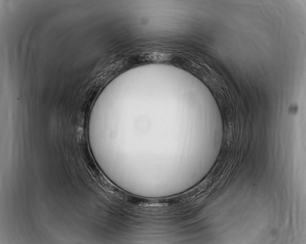 X0000101150553200806270802