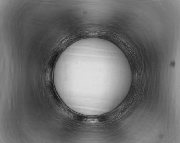 X0000101150554200806270802