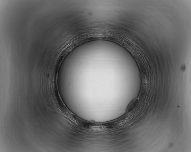 X0000101150556200806270802