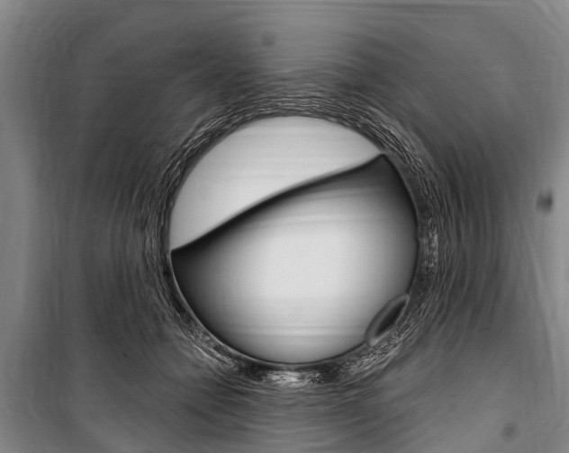 X0000101150558200806270802