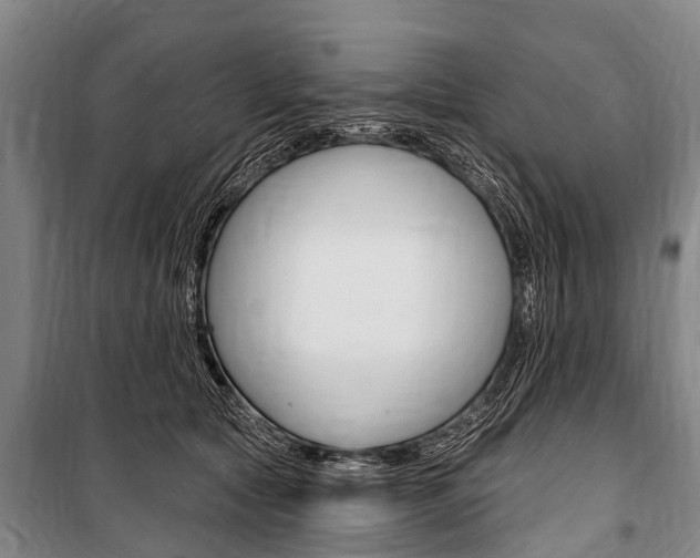 X0000101150561200806270802
