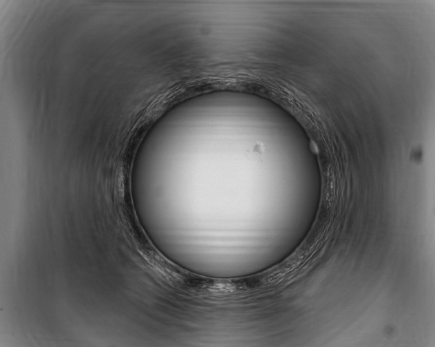 X0000101150562200806270802