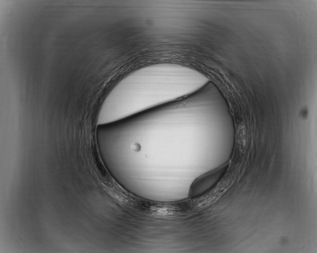 X0000101150564200806270802