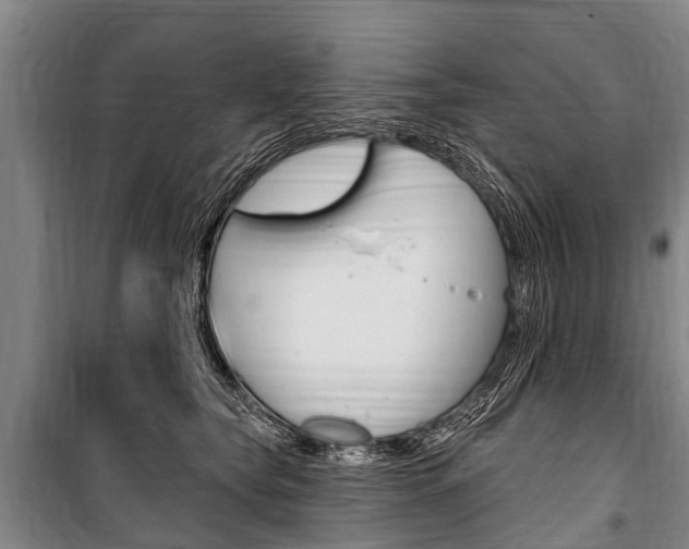 X0000101150565200806270802