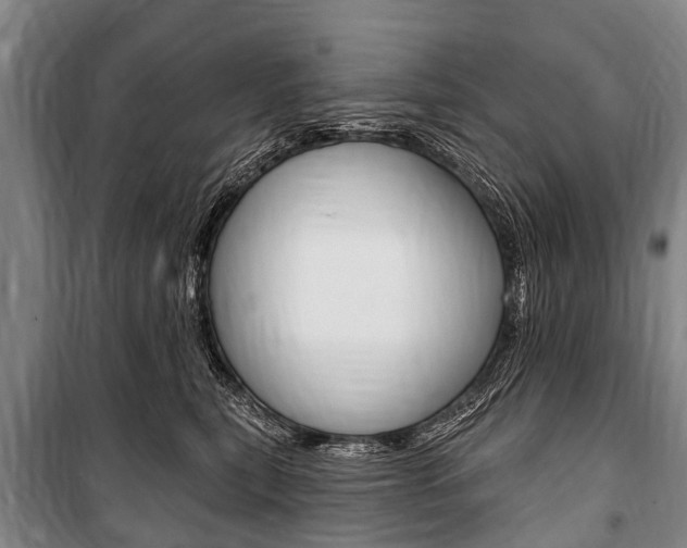 X0000101150567200806270803