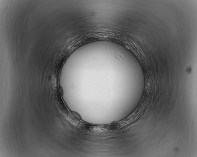 X0000101150568200806270803