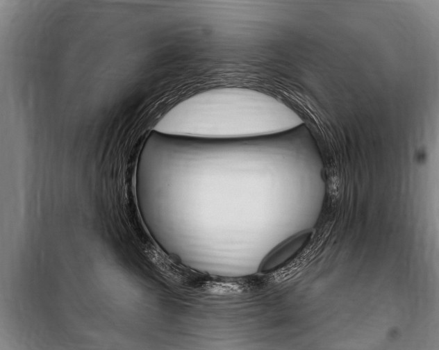 X0000101150572200806270803