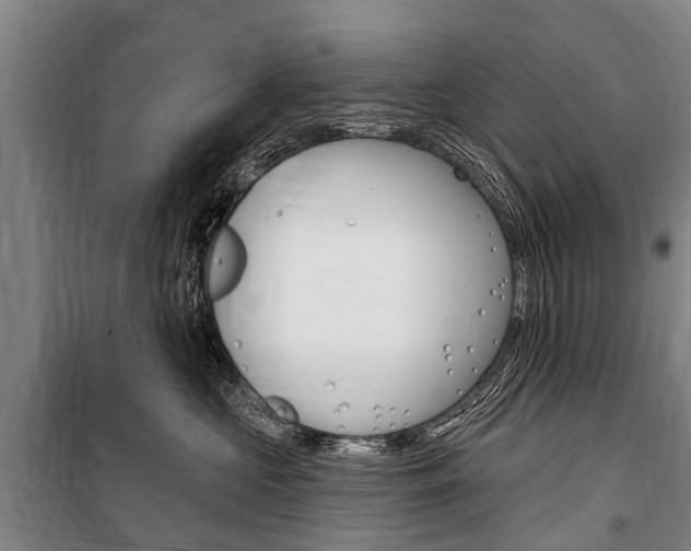 X0000101150573200806270803