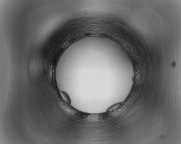 X0000101150574200806270803