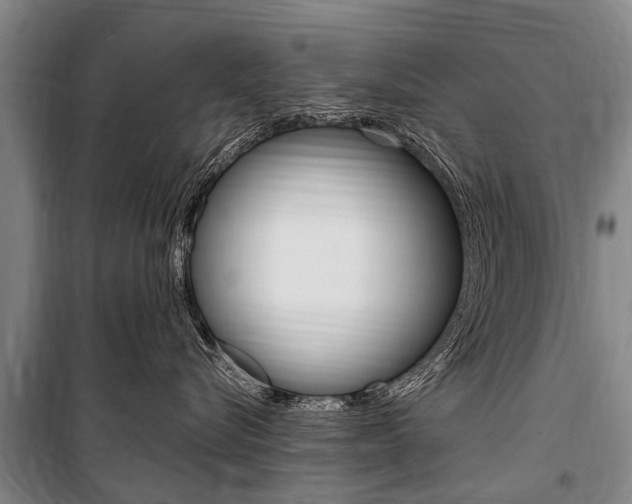 X0000101150576200806270803