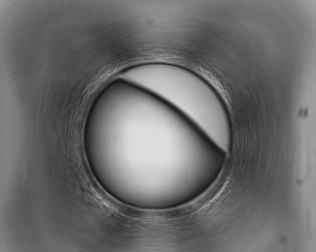 X0000101150577200806270802
