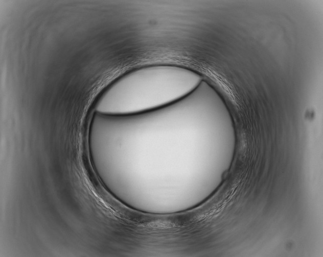 X0000101150578200806270802