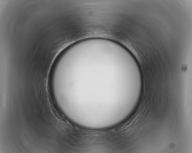 X0000101150579200806270802