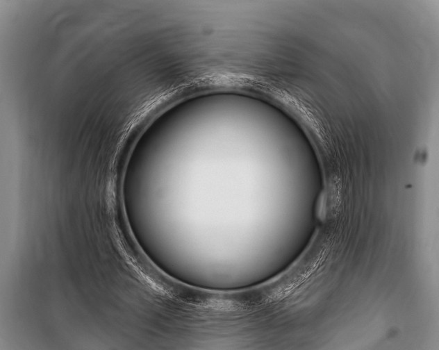 X0000101150581200806270802