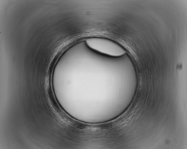X0000101150582200806270802