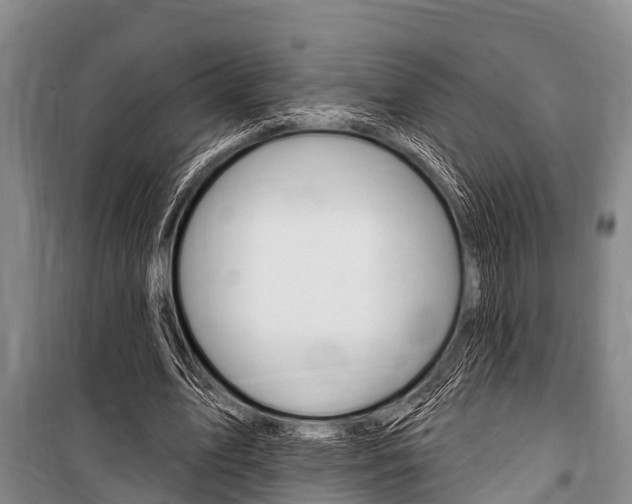 X0000101150583200806270802
