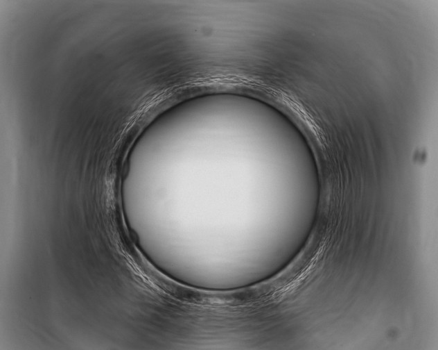 X0000101150585200806270802