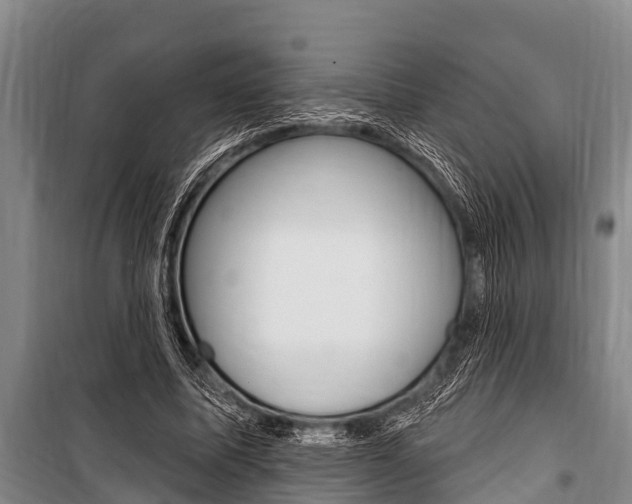 X0000101150587200806270802