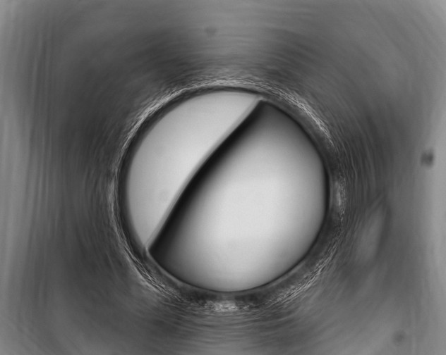 X0000101150588200806270802