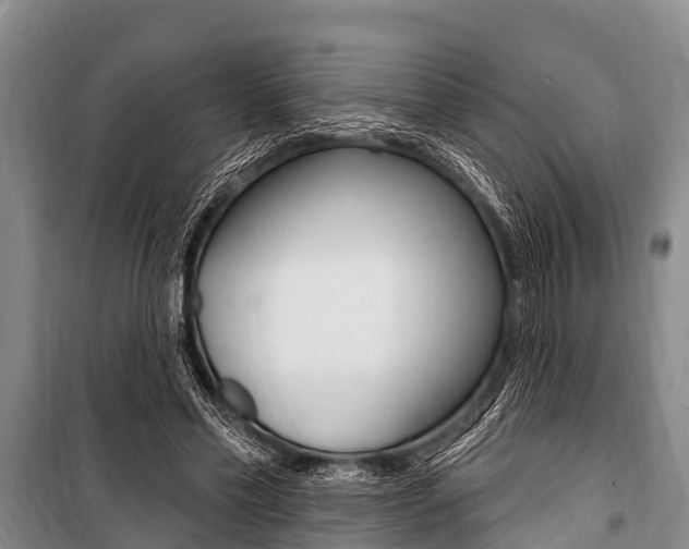 X0000101150589200806270802