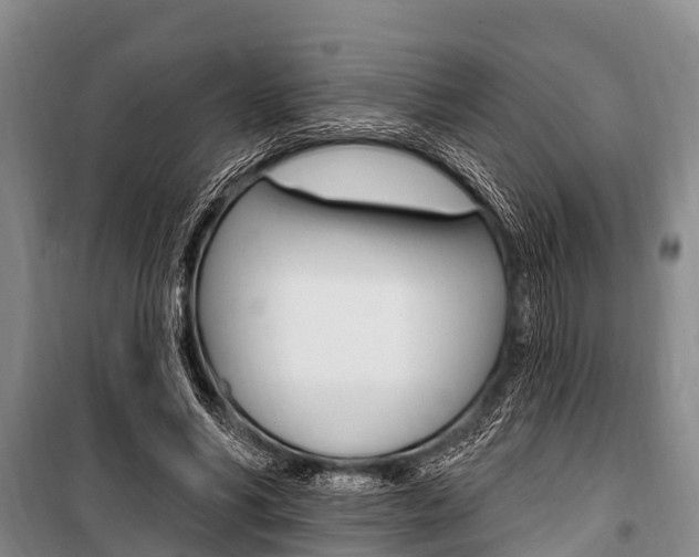 X0000101150590200806270802