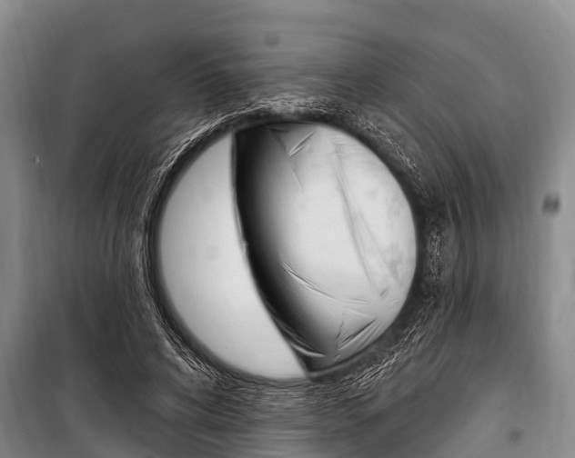 X0000101150592200806270802