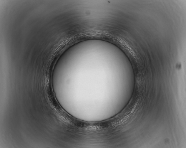X0000101150593200806270802