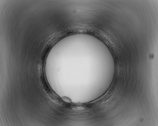 X0000101150594200806270802