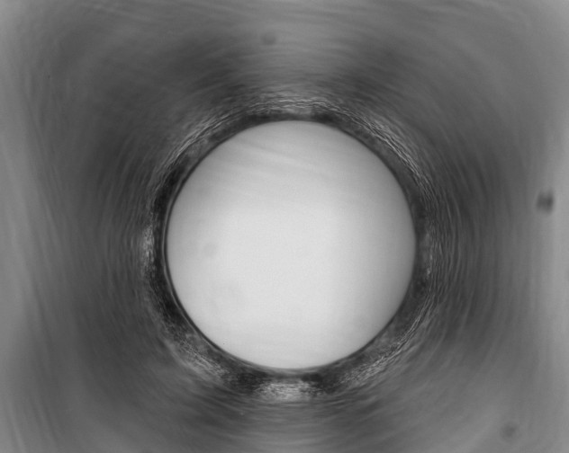 X0000101150595200806270801