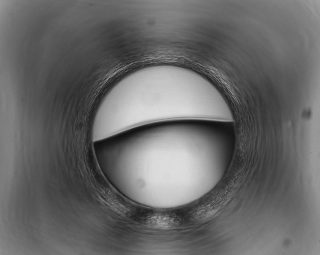 X0000101150596200806270801