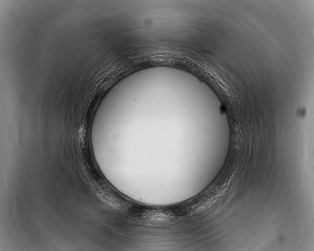 X0000101150597200806270801