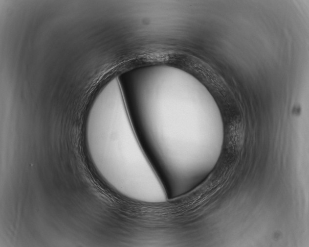 X0000101150600200806270801