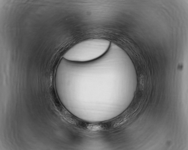X0000101150602200806270801