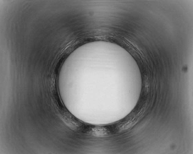 X0000101150603200806270801