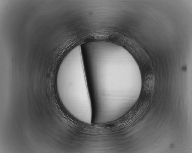 X0000101150604200806270801