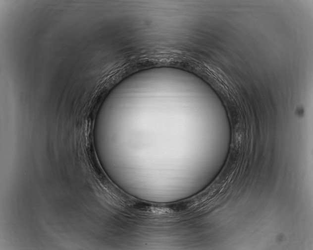 X0000101150605200806270801