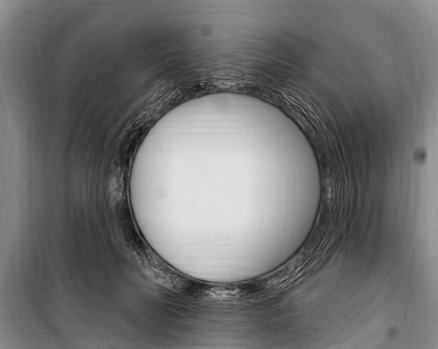 X0000101150606200806270801