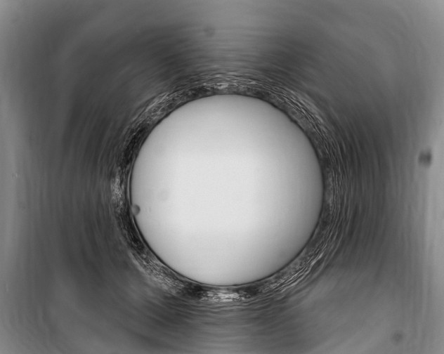 X0000101150607200806270801
