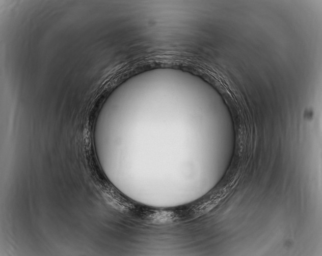 X0000101150609200806270801