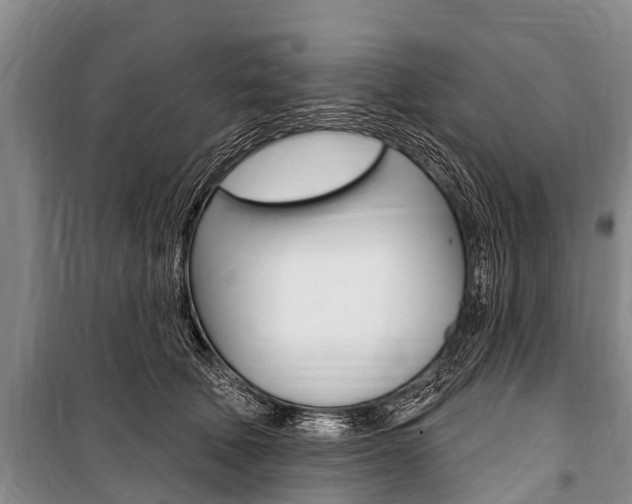 X0000101150610200806270801