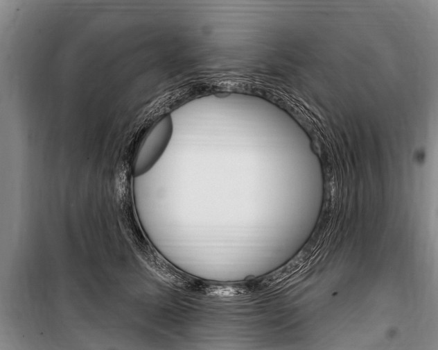X0000101150611200806270801