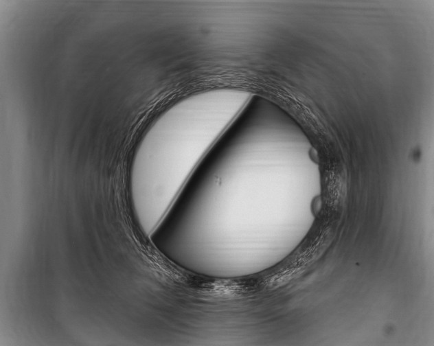 X0000101150612200806270801