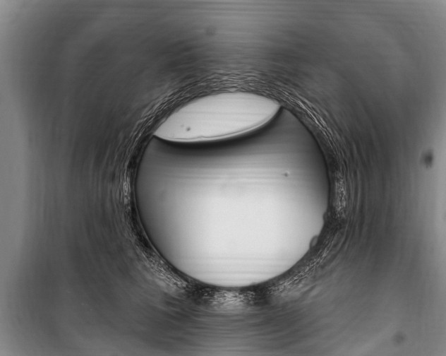 X0000101150613200806270801