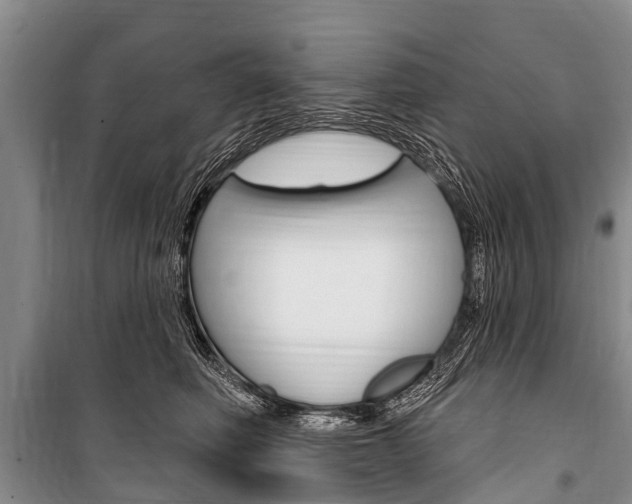 X0000101150614200806270801