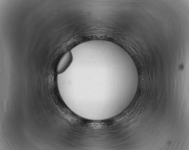 X0000101150615200806270801